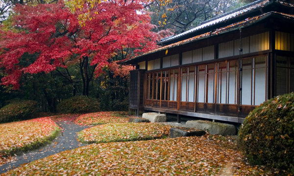 เสนอ Slow House บ้านเดี่ยวในแบบญี่ปุ่นโบราณ สงบ ร่มรื่น