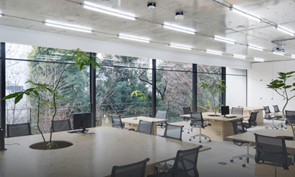 Japan : Plants in Tokyo office space